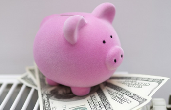 Pink pig on pile of cash
